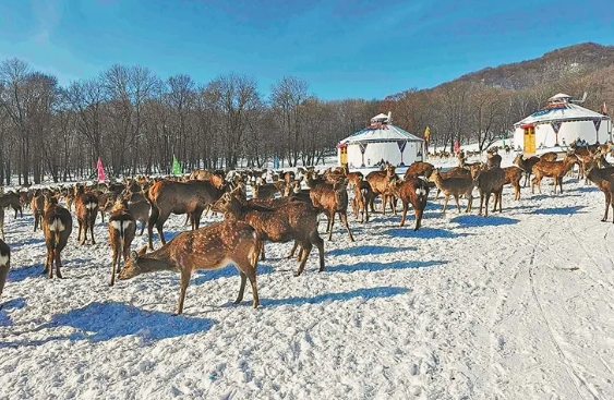 �򲩡�max(�й���)�����ٷ���վ-Unique Platform