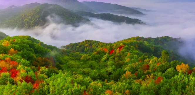 �򲩡�max(�й���)�����ٷ���վ-Unique Platform