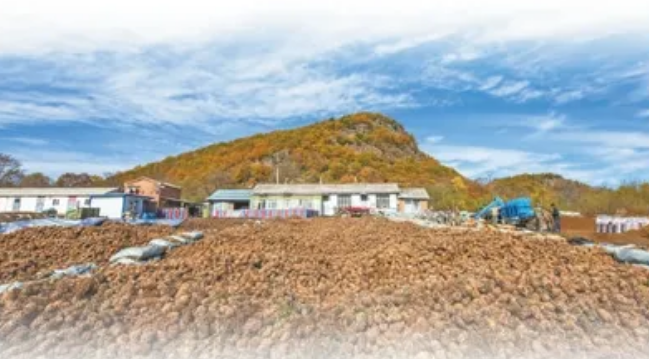 �򲩡�max(�й���)�����ٷ���վ-Unique Platform