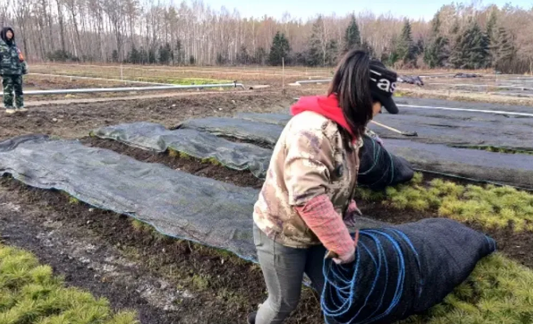 �򲩡�max(�й���)�����ٷ���վ-Unique Platform