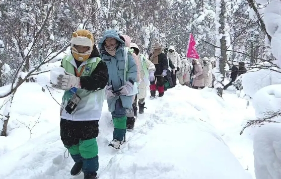 �򲩡�max(�й���)�����ٷ���վ-Unique Platform