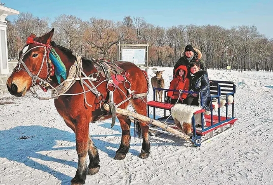 �򲩡�max(�й���)�����ٷ���վ-Unique Platform