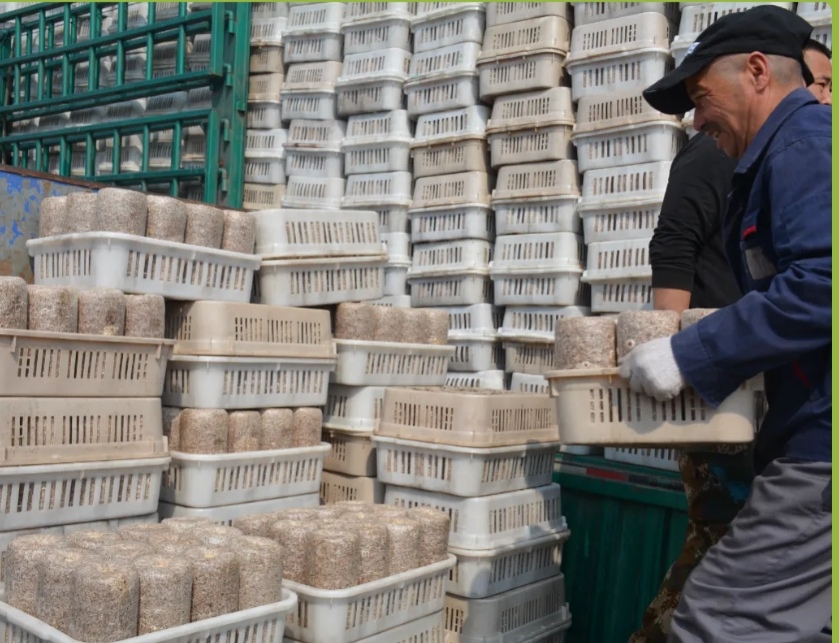 �򲩡�max(�й���)�����ٷ���վ-Unique Platform