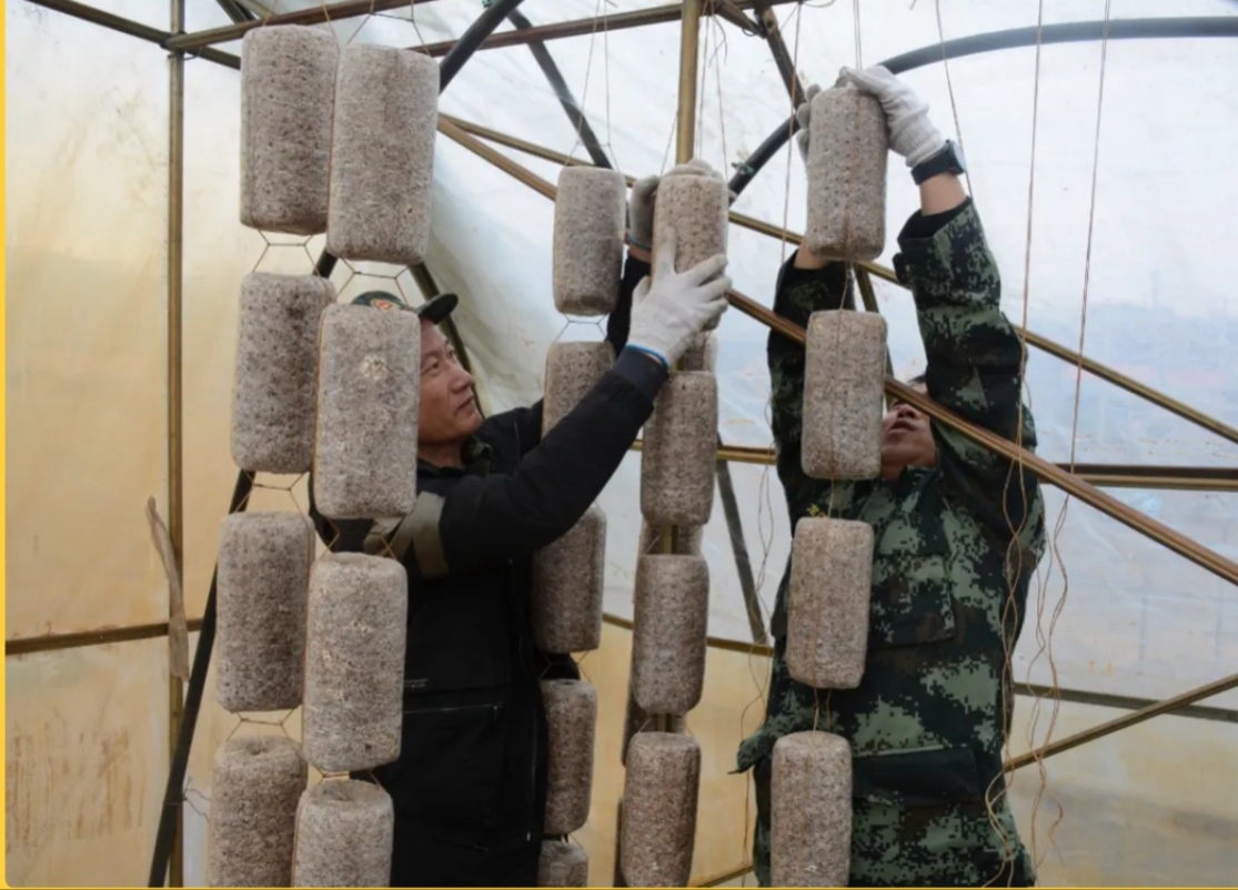 �򲩡�max(�й���)�����ٷ���վ-Unique Platform