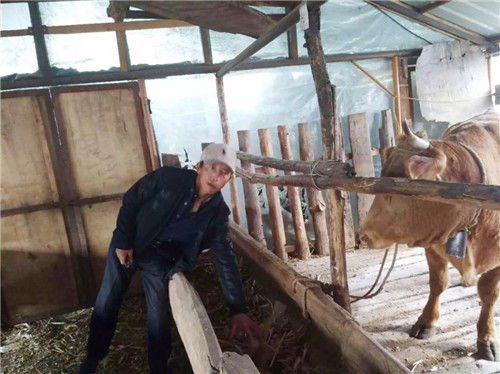 �򲩡�max(�й���)�����ٷ���վ-Unique Platform