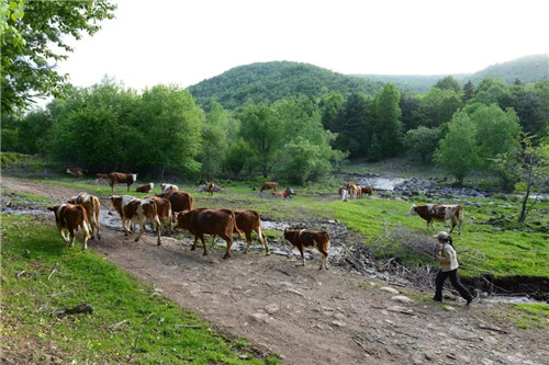 �򲩡�max(�й���)�����ٷ���վ-Unique Platform