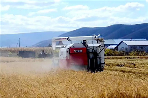 �򲩡�max(�й���)�����ٷ���վ-Unique Platform