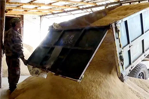 �򲩡�max(�й���)�����ٷ���վ-Unique Platform