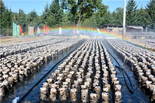 �򲩡�max(�й���)�����ٷ���վ-Unique Platform