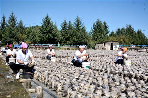 �򲩡�max(�й���)�����ٷ���վ-Unique Platform