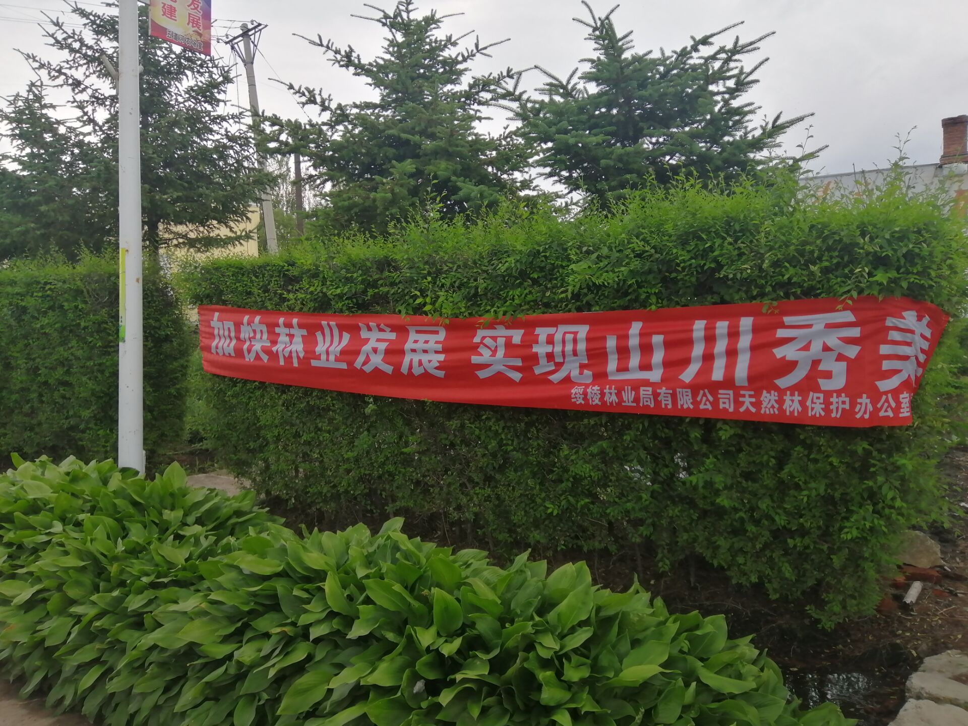 �򲩡�max(�й���)�����ٷ���վ-Unique Platform