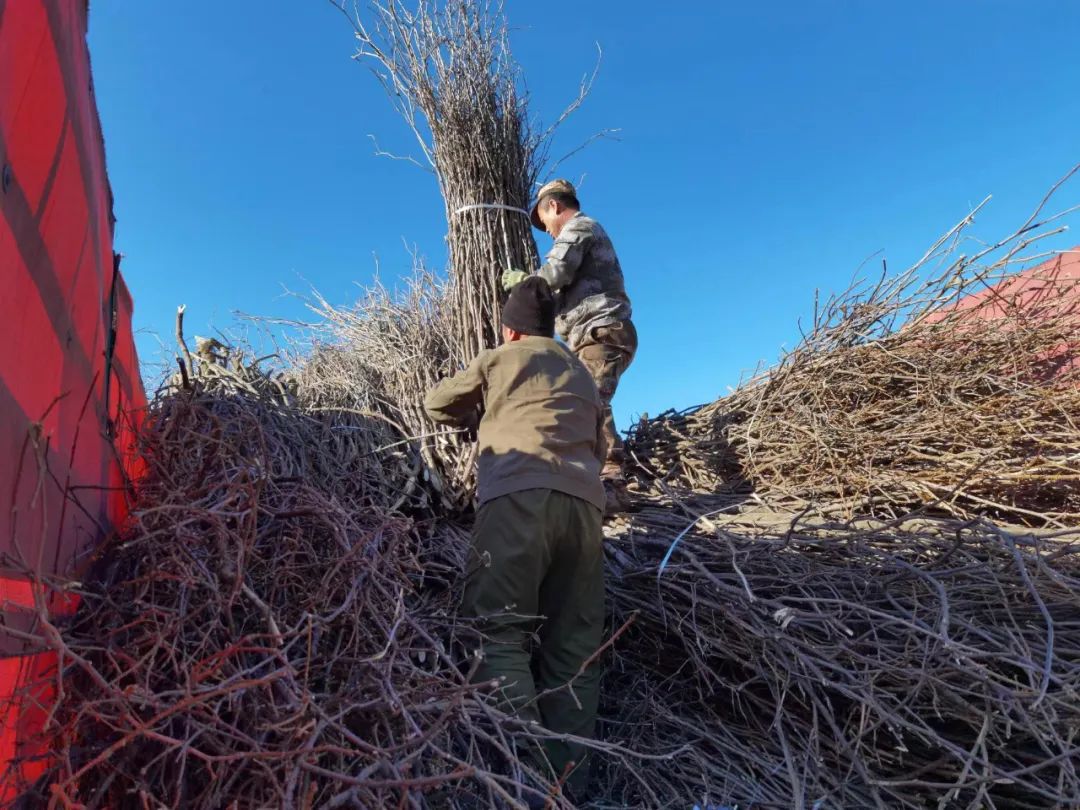 �򲩡�max(�й���)�����ٷ���վ-Unique Platform