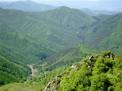 �򲩡�max(�й���)�����ٷ���վ-Unique Platform