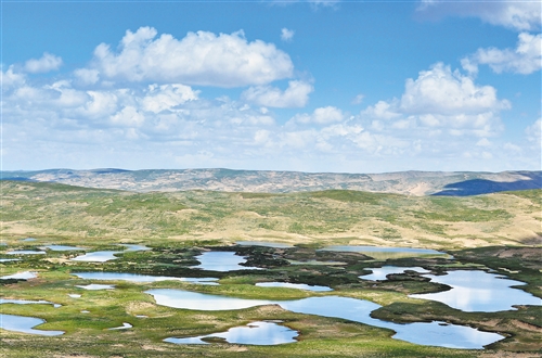 �򲩡�max(�й���)�����ٷ���վ-Unique Platform